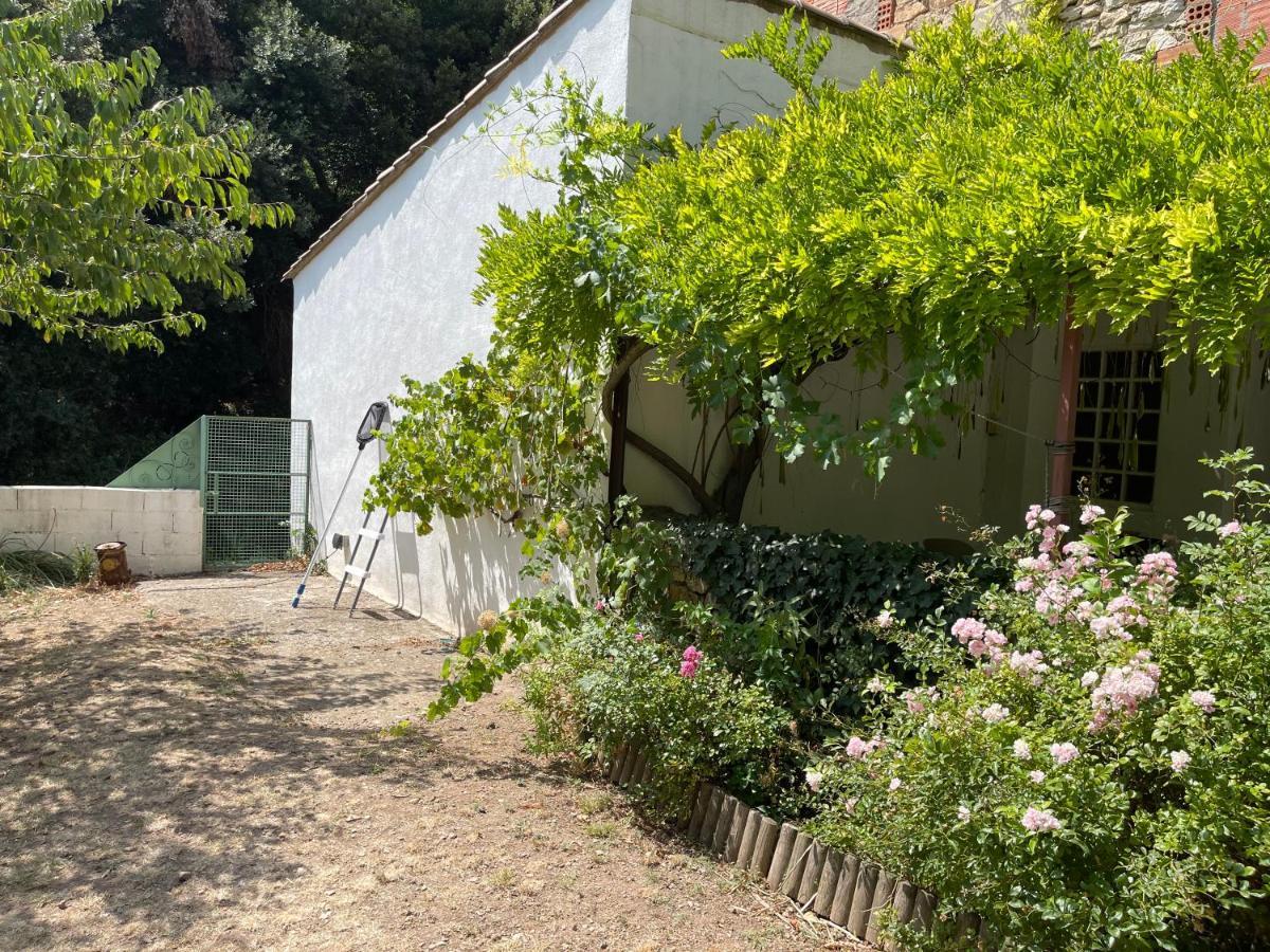 DernacueilletteL'Ancienne Raffinerie De Tabac别墅 外观 照片